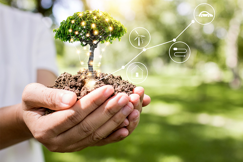 Perfil Ambiental de España 2019- España aumenta su superficie protegida y reduce en casi un 30% sus emisiones de gases de efecto invernadero