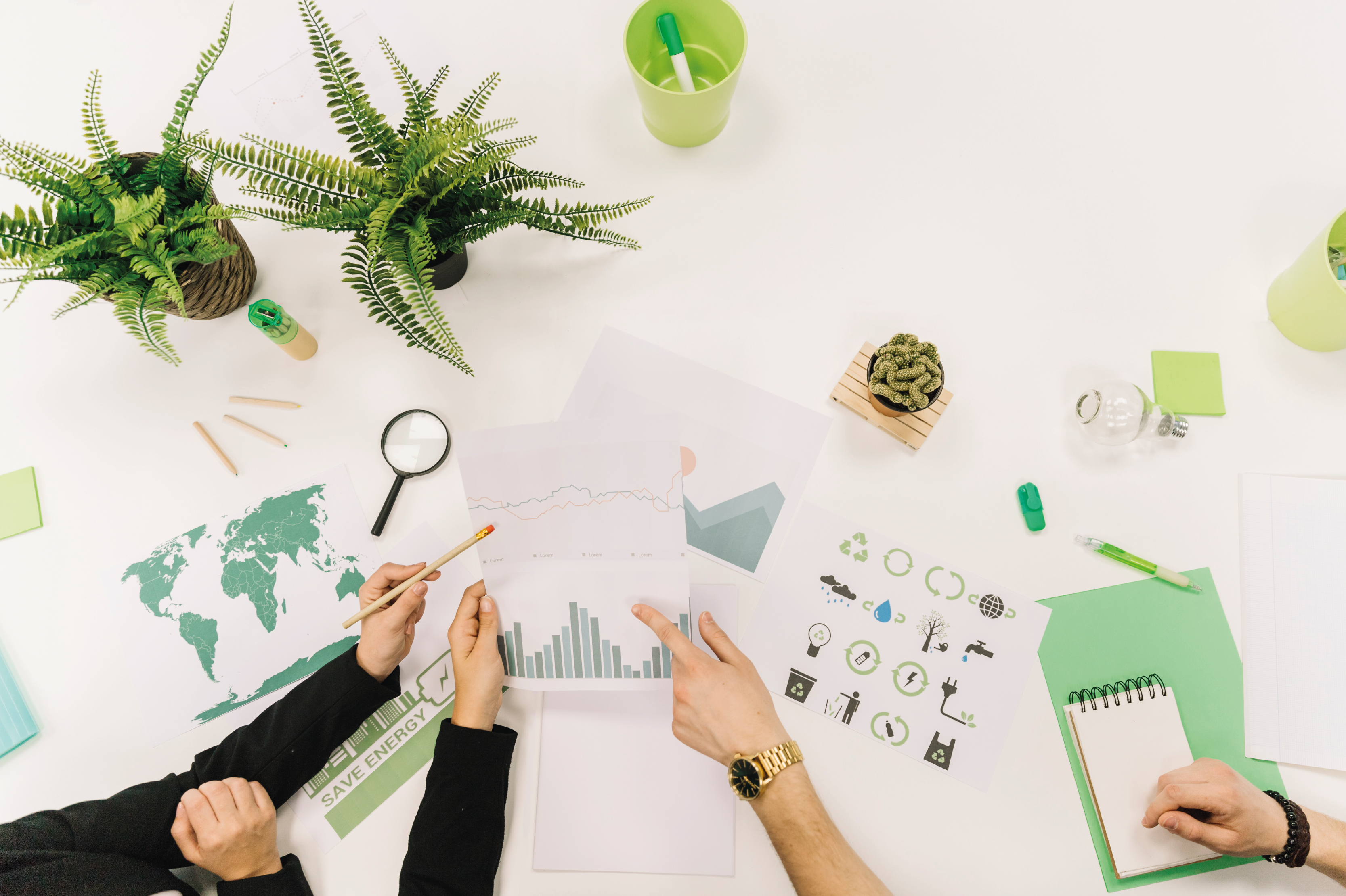 Nuevos cursos de formación sobre sostenibilidad