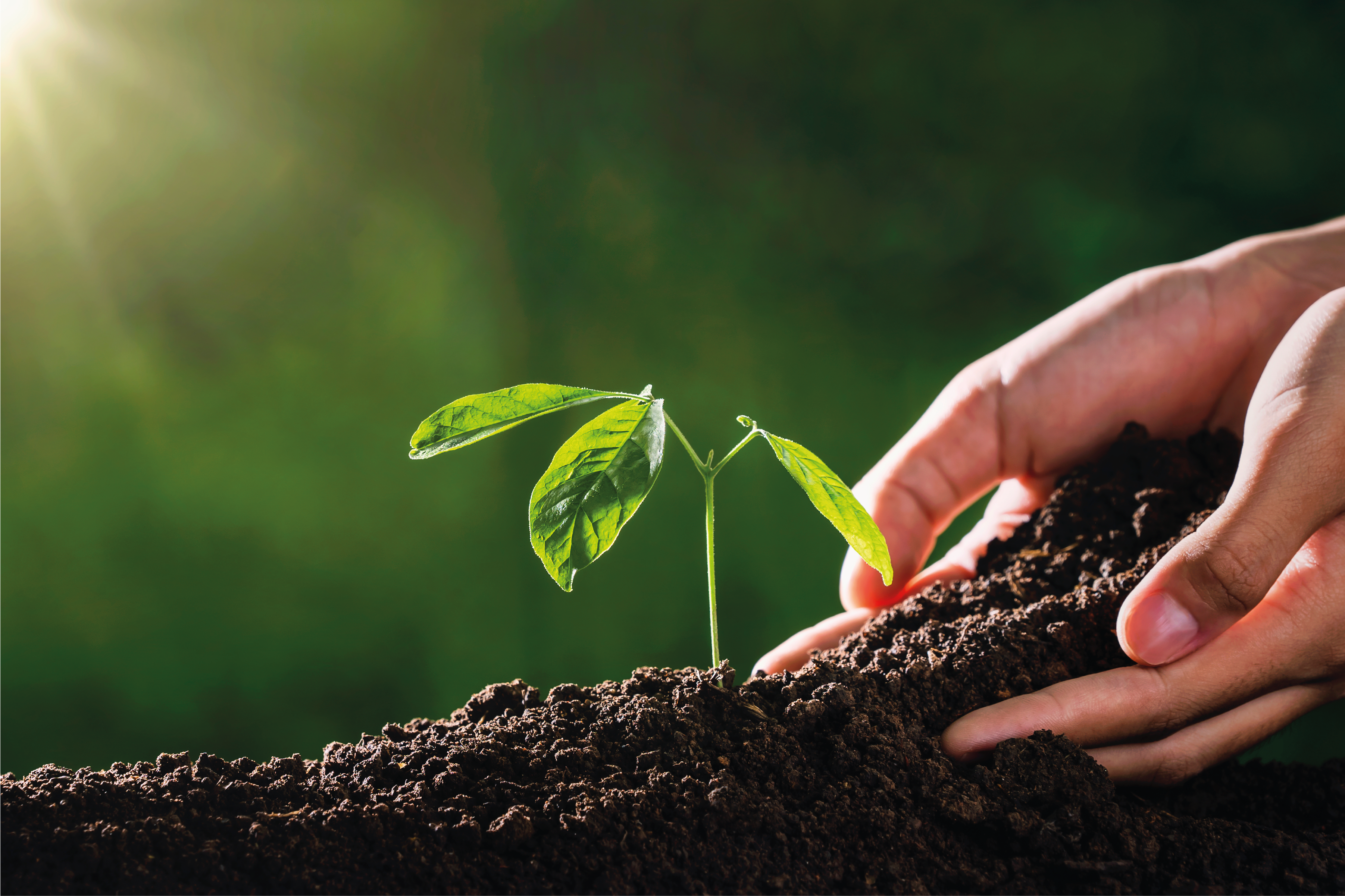 Pacto Verde Europeo- La Comisión presenta medidas para impulsar la producción ecológica