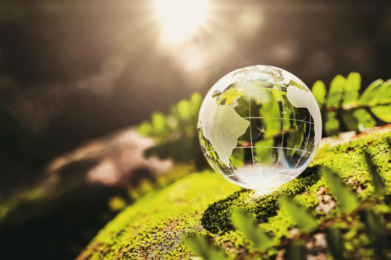El-Parlamento-europeo-respalda-dedicar-5.400-millones-a-proyectos-de-clima-y-medio-ambiente-programa-life