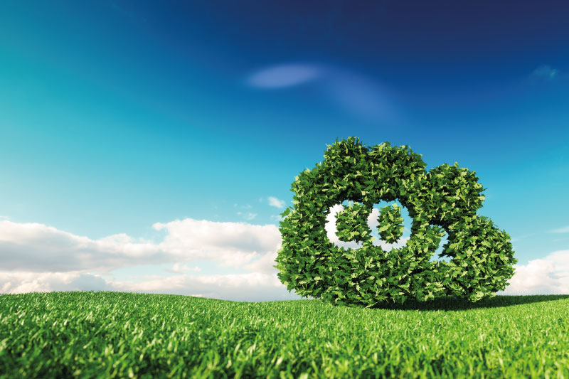 El-MITECO-lanza-un-proceso-de-participación-para-recabar-información-sobre-proyectos-de-reducción-de-emisiones-en-el-marco-del-Fondo-de-Carbono-para-una-Economía-Sostenible